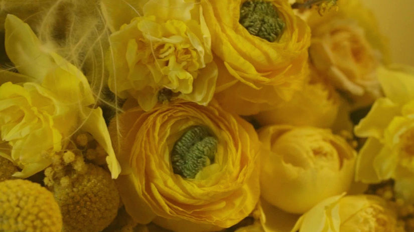 Creative video jointly with  ROOTS Flowers